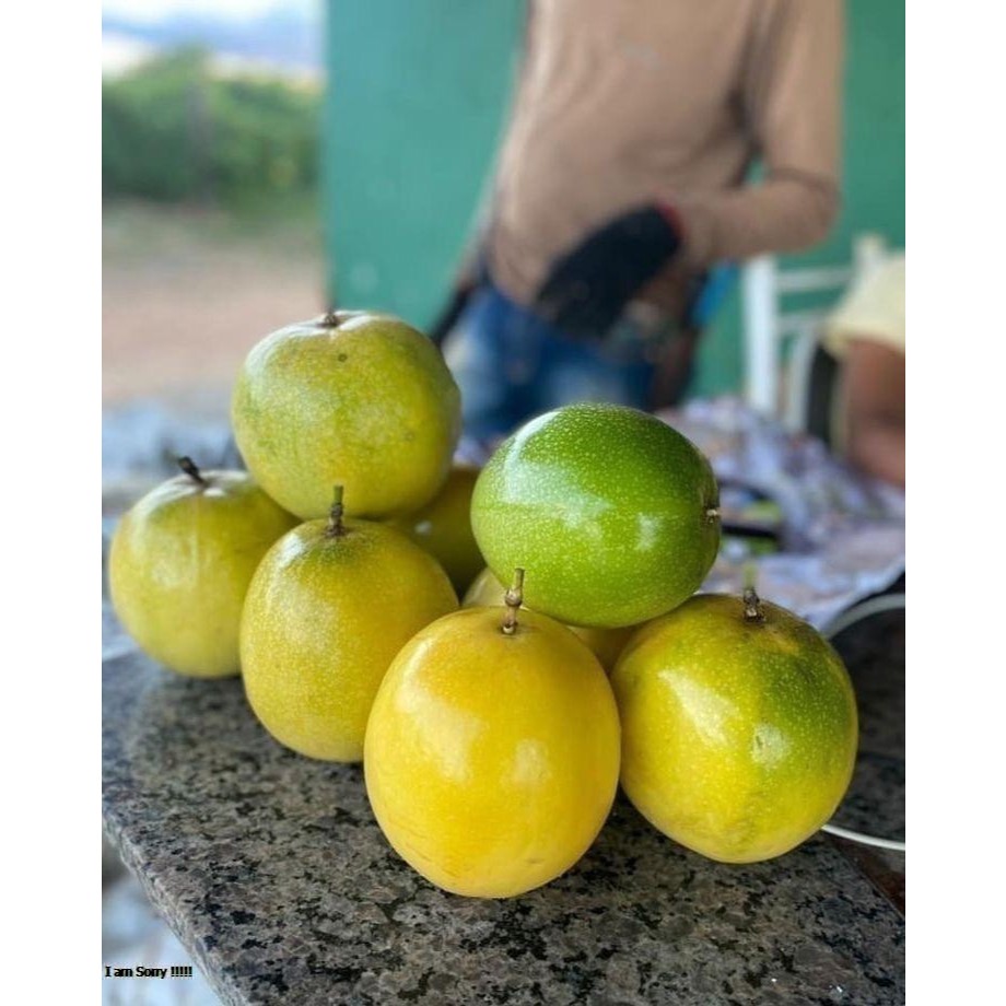 

buah markisa segar 1kg promo terbaik