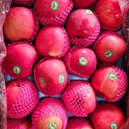 

APEL FUJI BLUSH PREMIUM 1 DUS 12kg