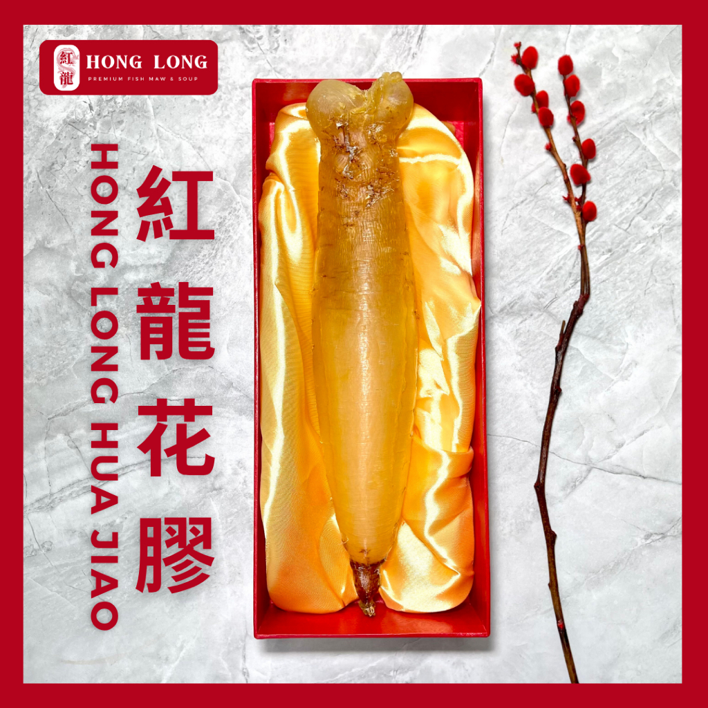 

Hong Long - Premium Fish Maw Kakap Cina Angkui Jantan (魚鰾/花膠) Size 56 Hipio Yiphiau HuaJiao Gelembung Ikan Perut Ikan Kakap Kering Hipiau Grade Super