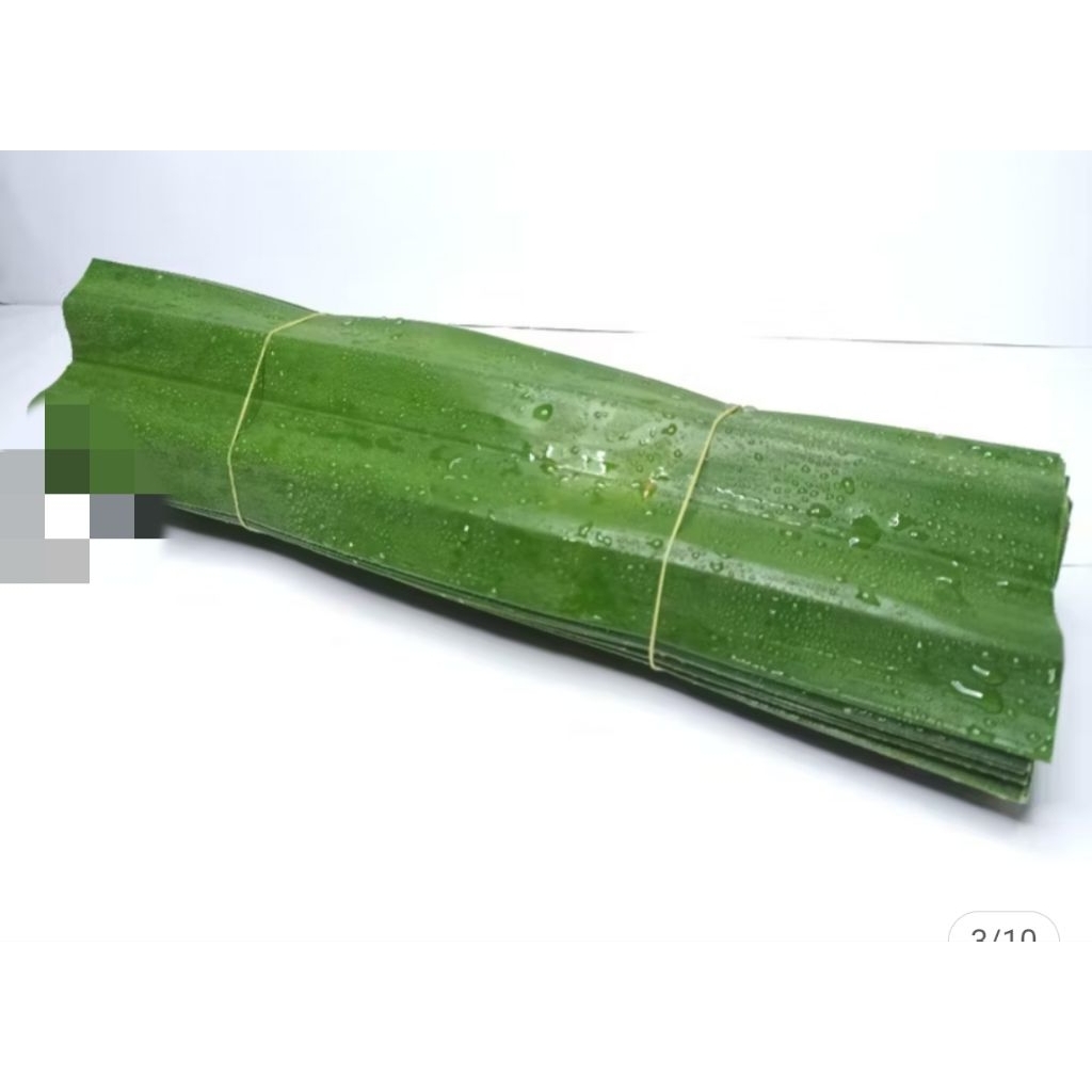 

Daun pandan besar untuk bacang / kwecang per ikat