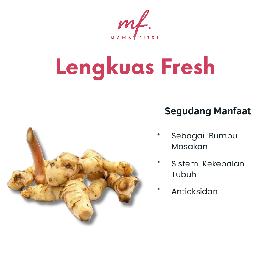 

LENGKUAS SEGAR MAMA FITRI 1KG LENGKUAS LAOS ORGANIK MAMA FITRI