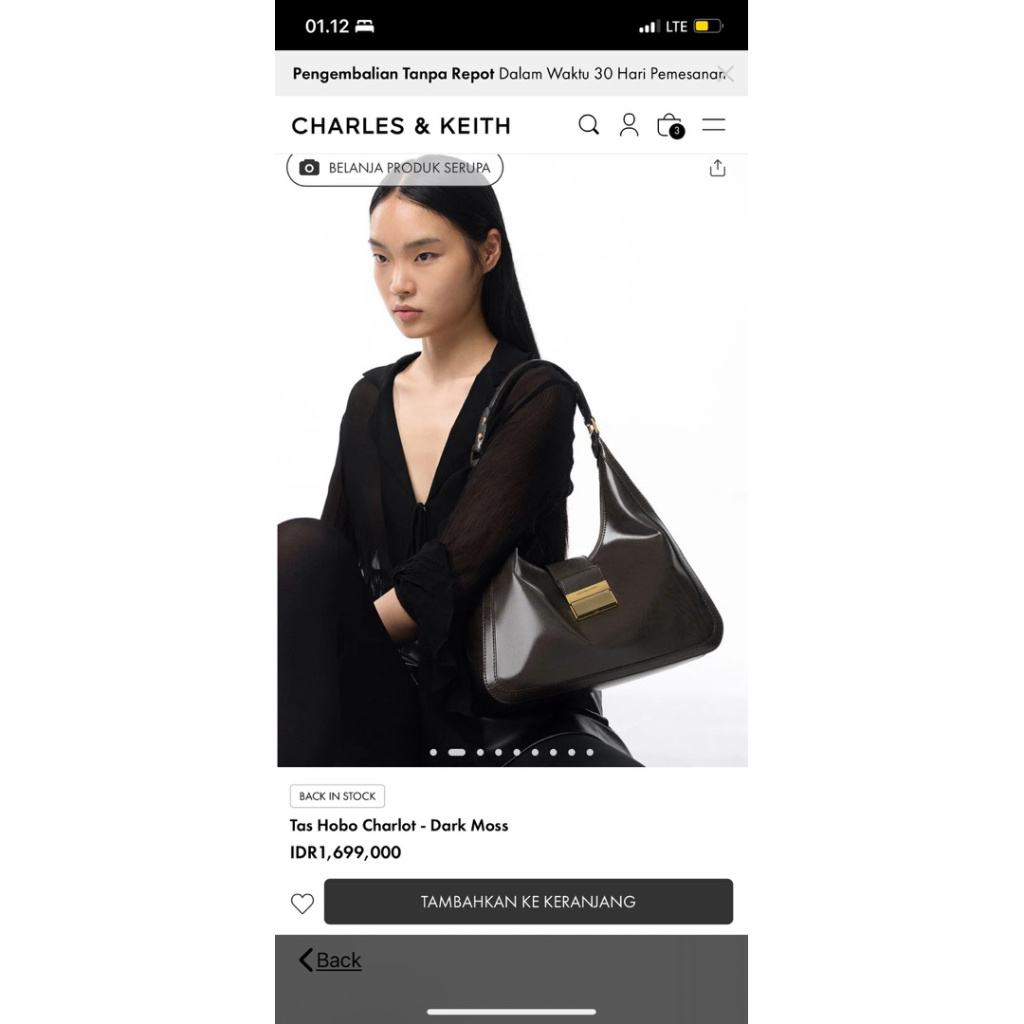 Charles & Keith bag