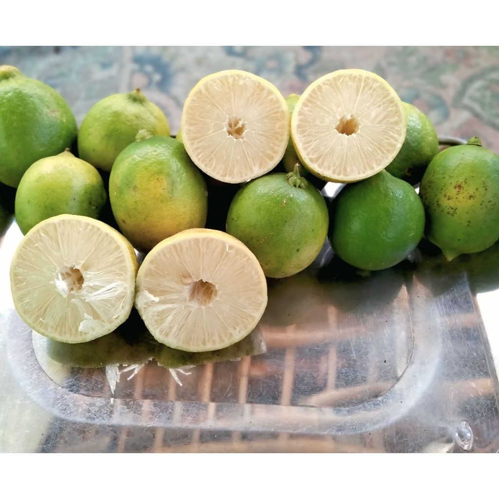 

jeruk lemon lokal