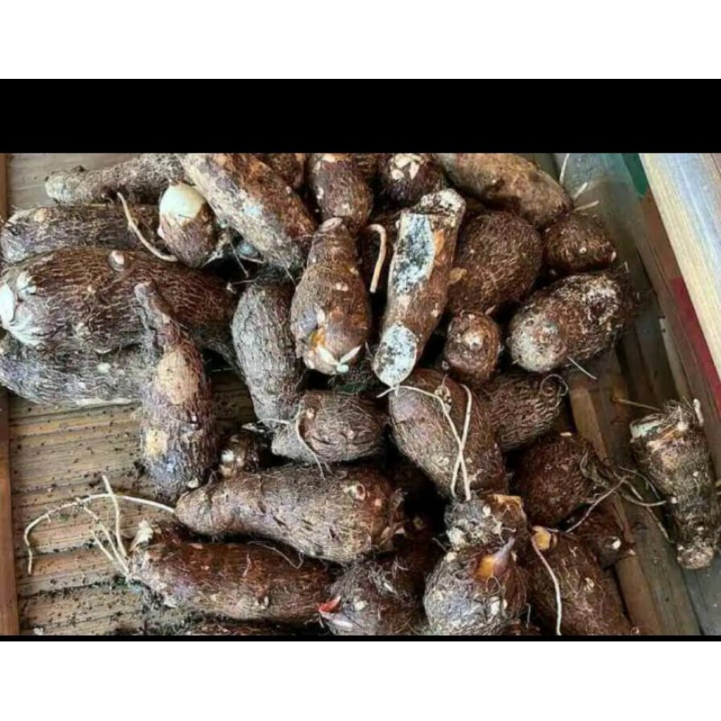 

ubi talas/ubi tales 500gr dijamin pulen