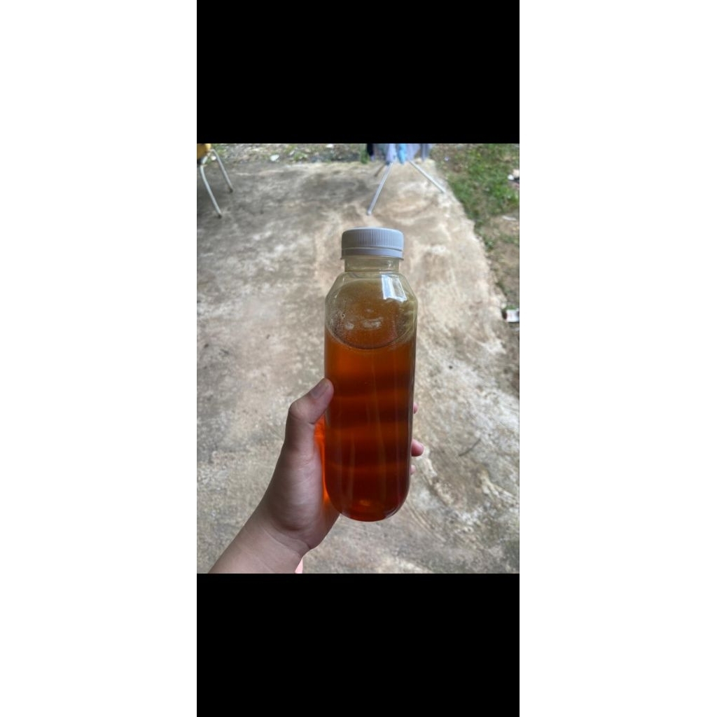 

madu lebah hutan asli