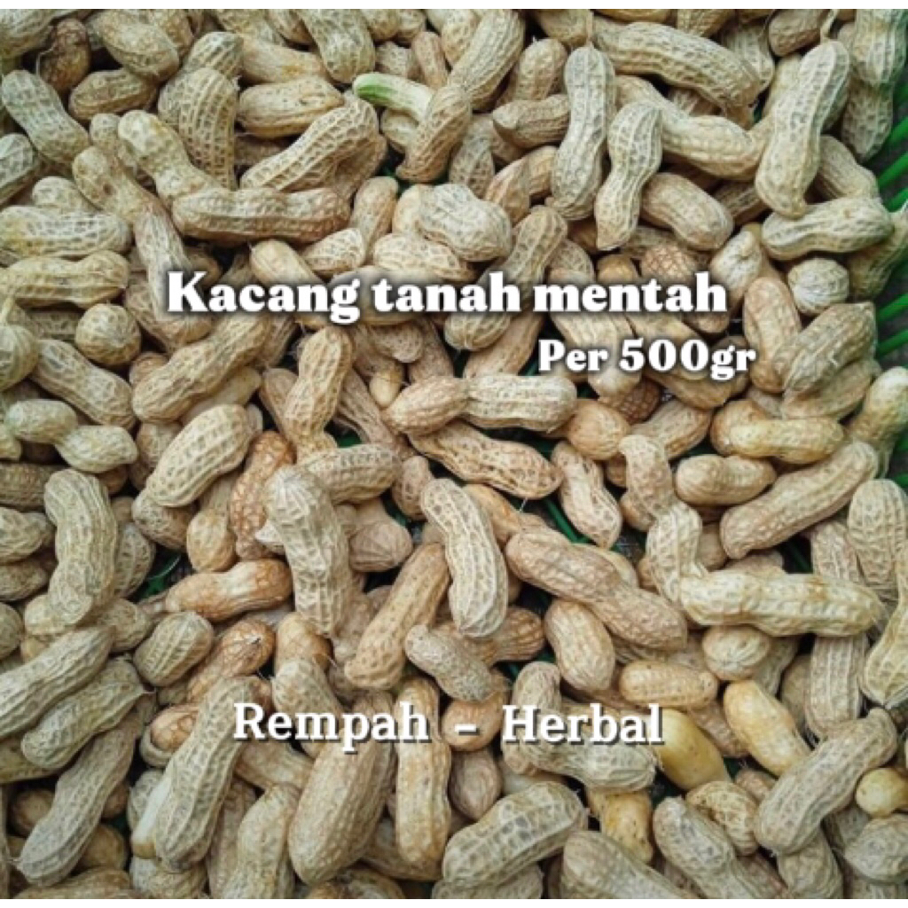 

Kacang Tanah Mentah Per 500gram