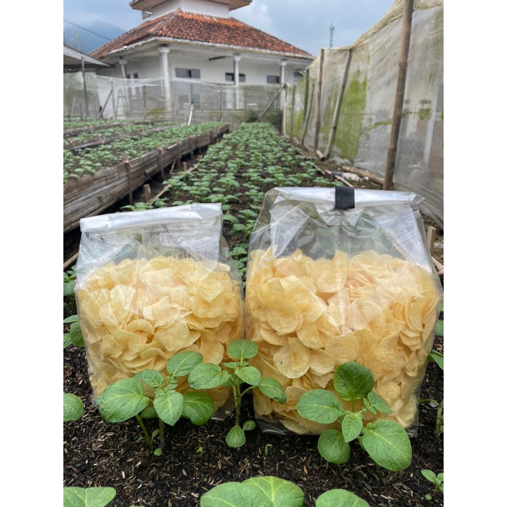 

keripik kentang Original 500g super crispy bikin nagih 100% dari kentang press dan pilihan