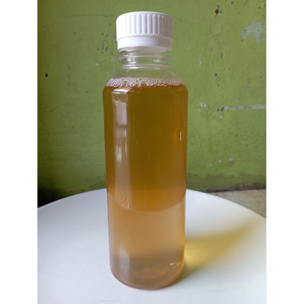 

teh kombucha original siap di minum