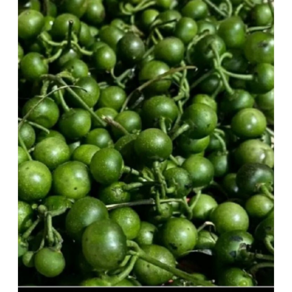 

SAYUR LENCA / LALAPAN LENCA 250 GRAM