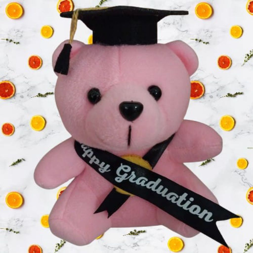 Grosir Boneka Teddy Bear Wisuda Mini 15Cm