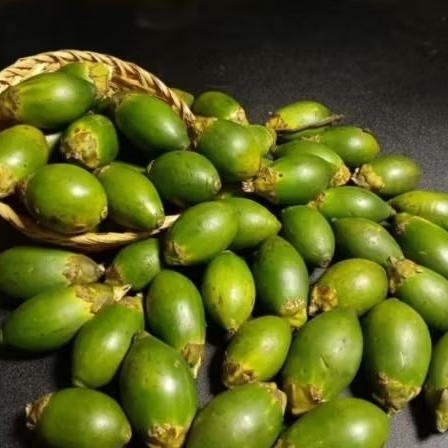 

Pinang Muda Fresh || Buah Pinang Muda Segar