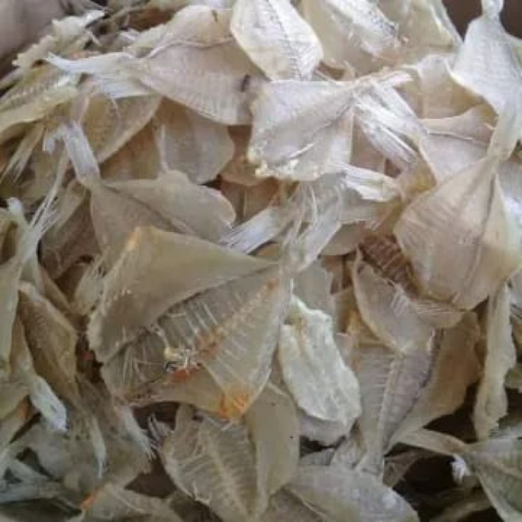 

IKAN KAPASAN ASIN / IKAN KERUPUK ASIN