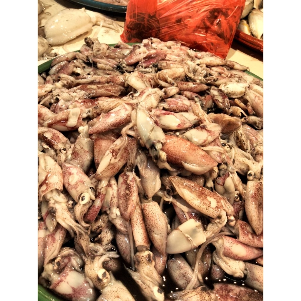 

cumi ukuran kecil 5cm