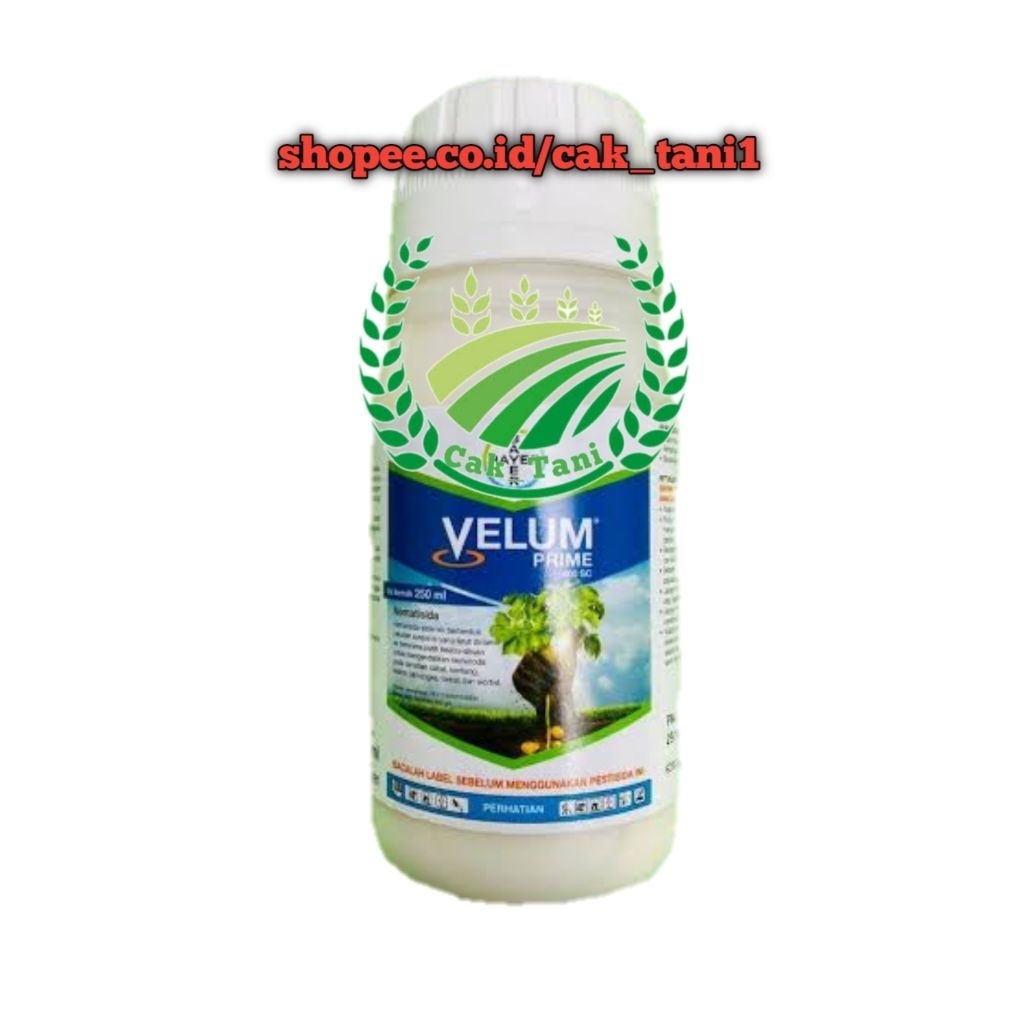 velum prime 250 ML