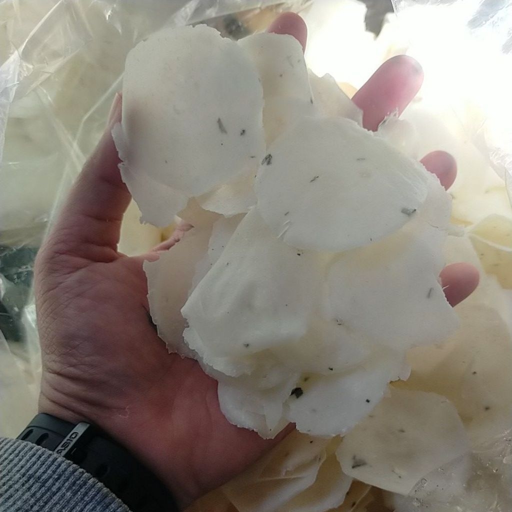 

LEBIH HEMAT 2KG OPAK KOIN SINGKONG OPAK WONOSOBO MENTAH SIAP GORENG