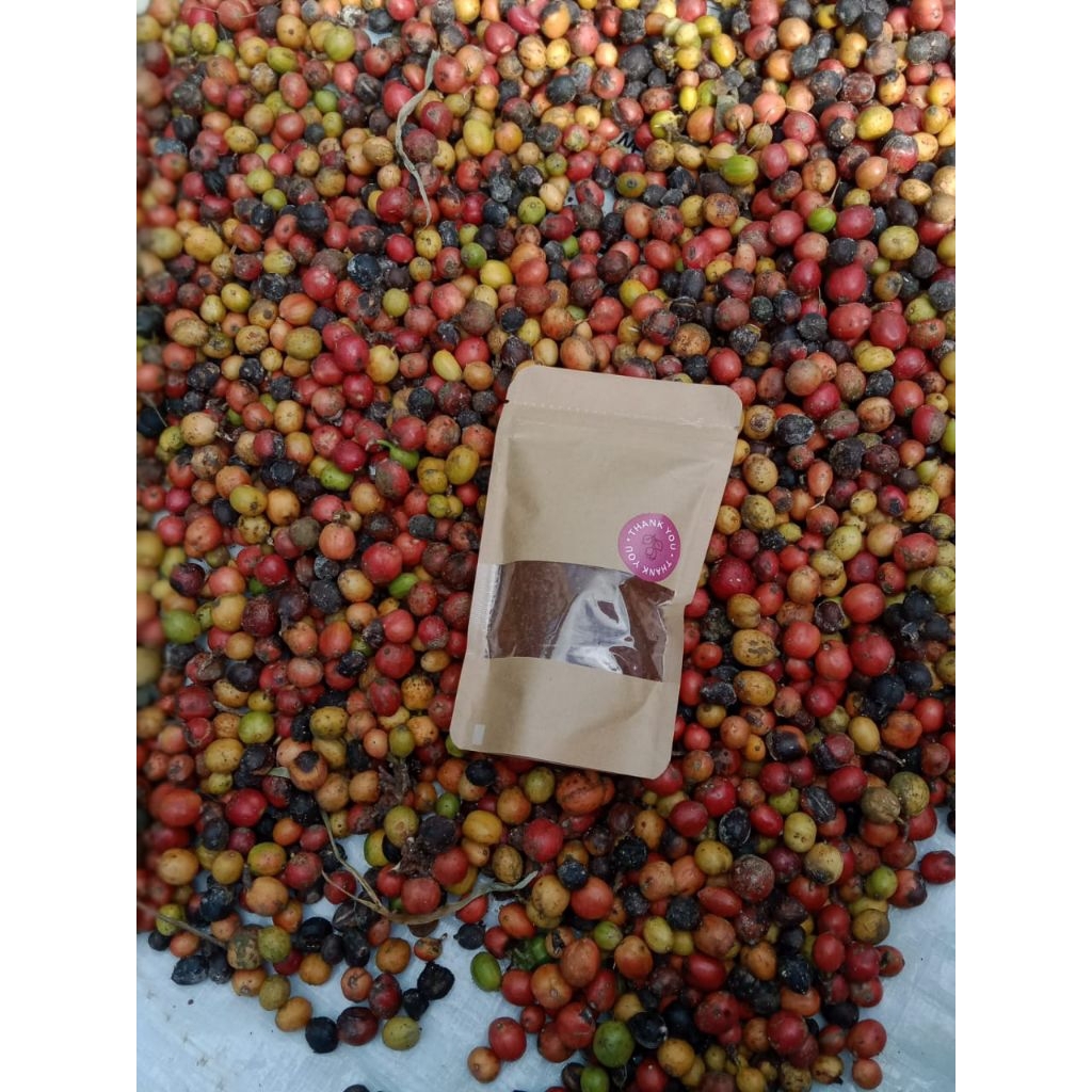 

(SIHWO SHOP) ROBUSTA PREMIUM |BIJI KOPI SANGRAI|400 gr Coffee