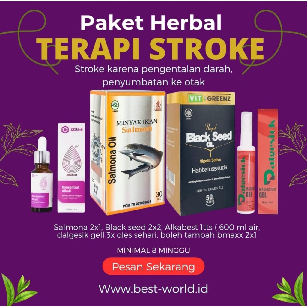 

Paket Herbal Terapi Stroke Karena Pengentalan Darah Penyumbatan Ke Otak Original 100%