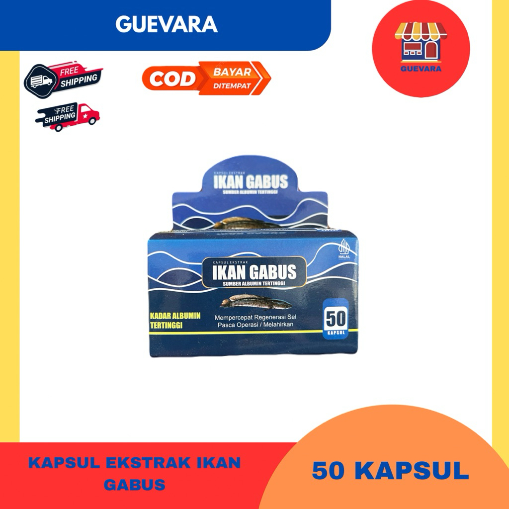 Kapsul Ekstrak Ikan Gabus Sembuhkan Luka Pasca Operasi