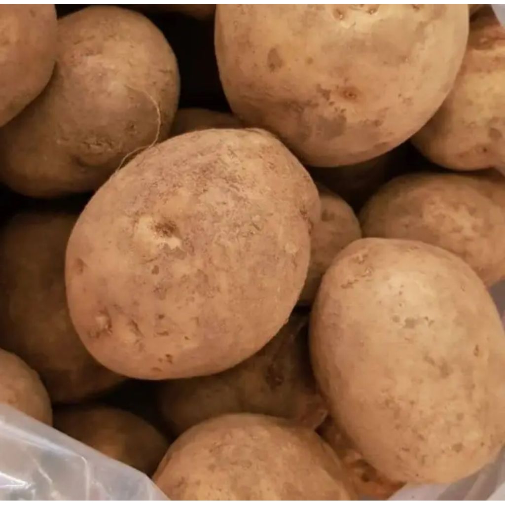 

Termurah Kentang 500gr Kentang Fresh Langsung Dari Petani