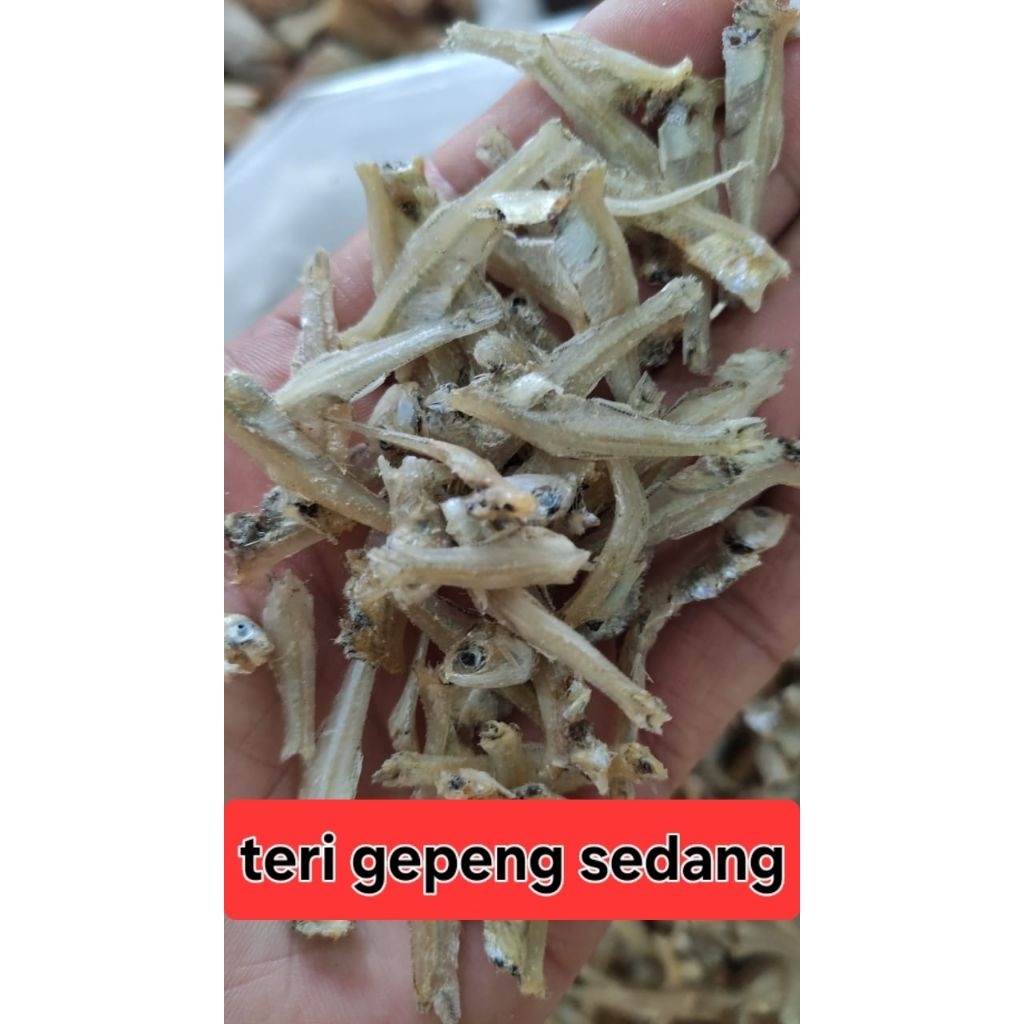 

ikan Teri bilis gepeng tidak asin 250gr asli dari kelong tanjung pinang