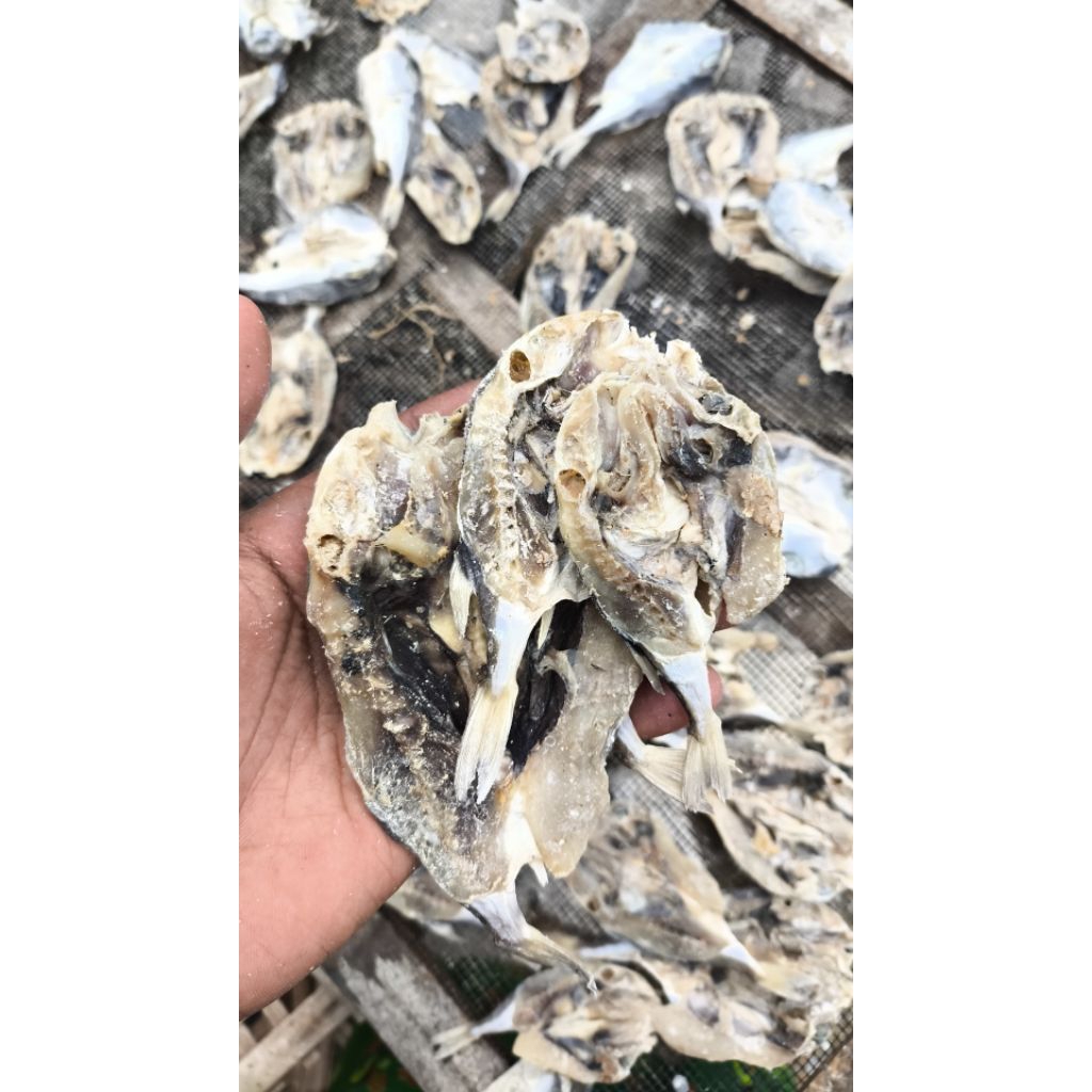 

grosir ikan asin tinggal pilih