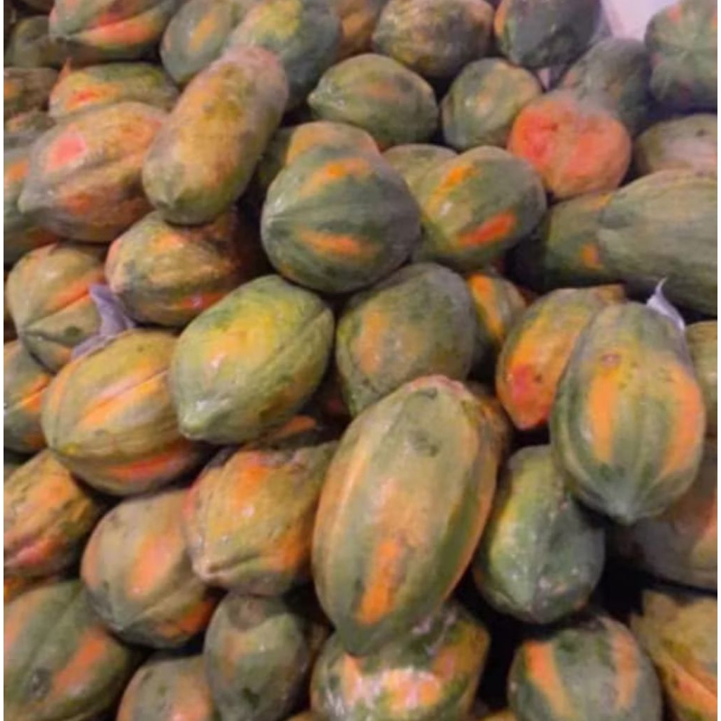 

BUAH PEPAYA BANGKOK 1 PCS JUMBO #GEUDANG #GANDUL