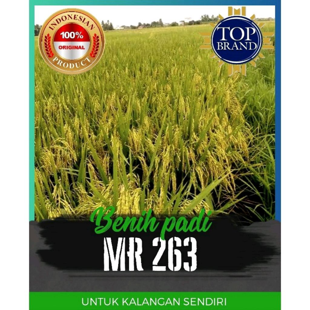 BENIH PADI MR 263 KEMASAN 5KG