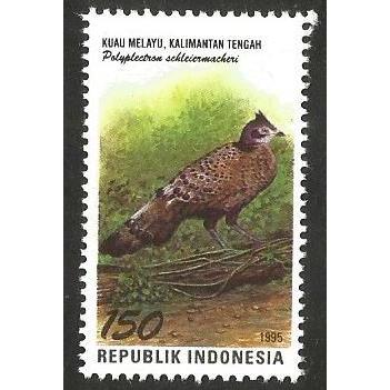 

A 10683 SATU BUAH PRANGKO INDONESIA TAHUN 1995 TEMA SATWA KHAS PROVINSI KALIMANTAN TENGAH KONDISI MNH MINT NEVER HINGED