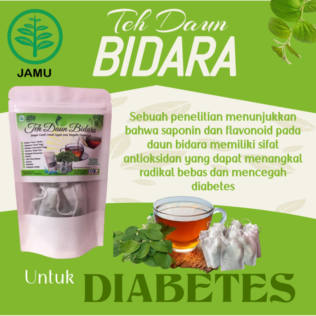 

Teh Herbal Daun Bidara Untuk Mengatasi Penyakit Diabetes Basah/Kering