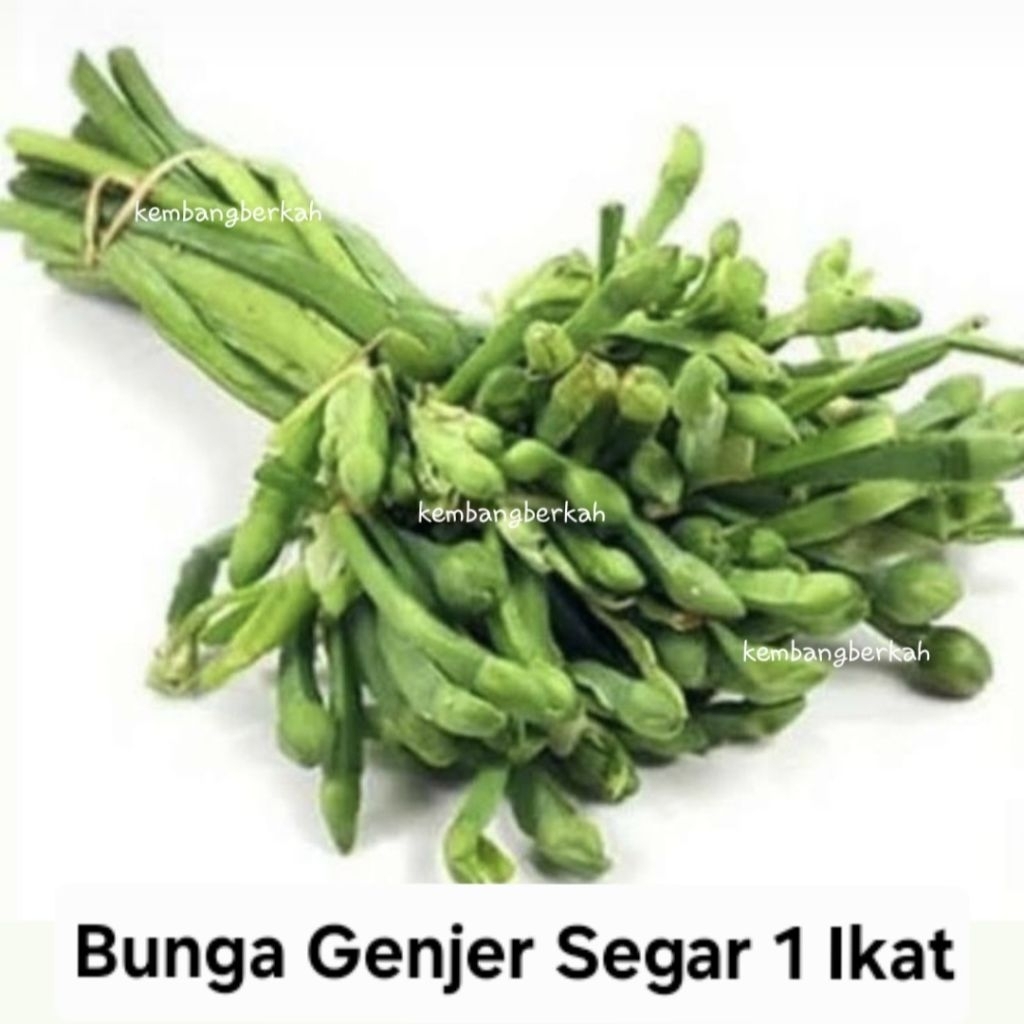 

Bunga Genjer / Kembang Genjer Segar 1 ikat