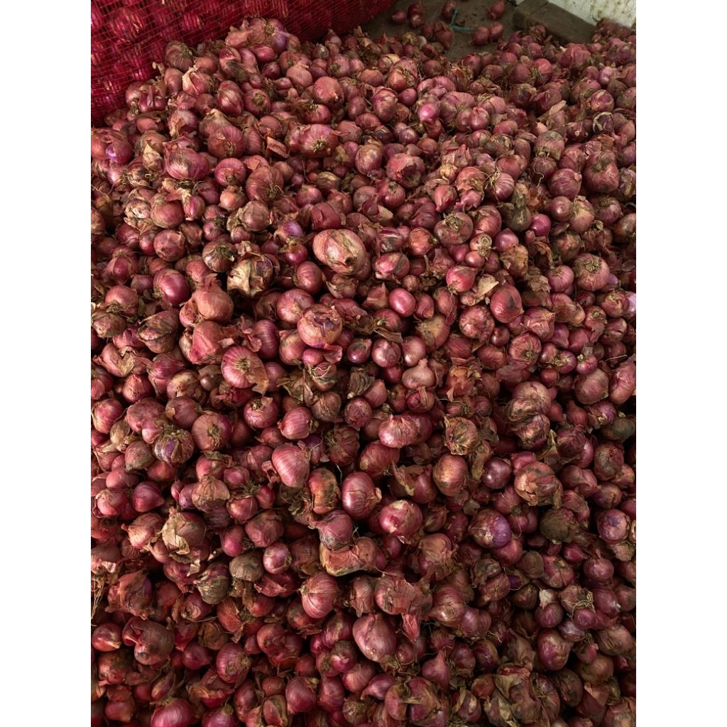

Bawang merah premium 1Kg kecil