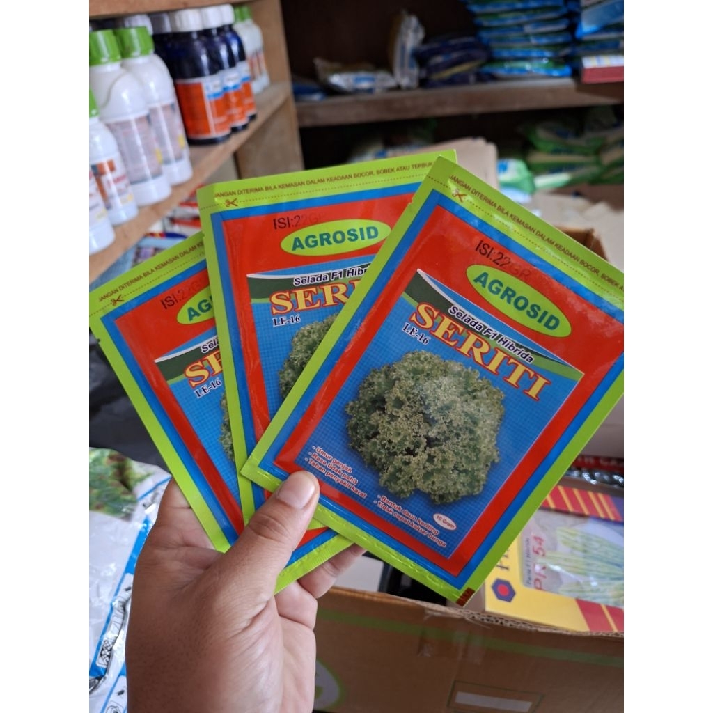 Benih Selada Keriting SERITI F1 / 10 gr