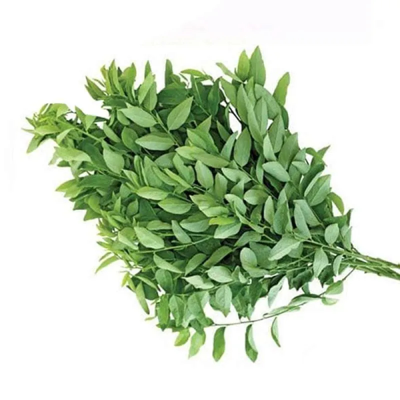 

Daun katuk segar 1 ikat