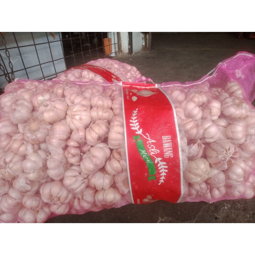

bawang putih honan 500gr kupas