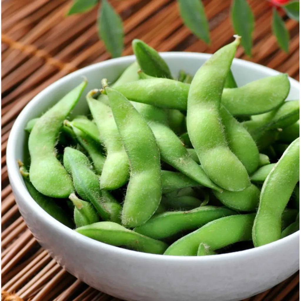 

Benih Kacang Edamame - 5 pcs
