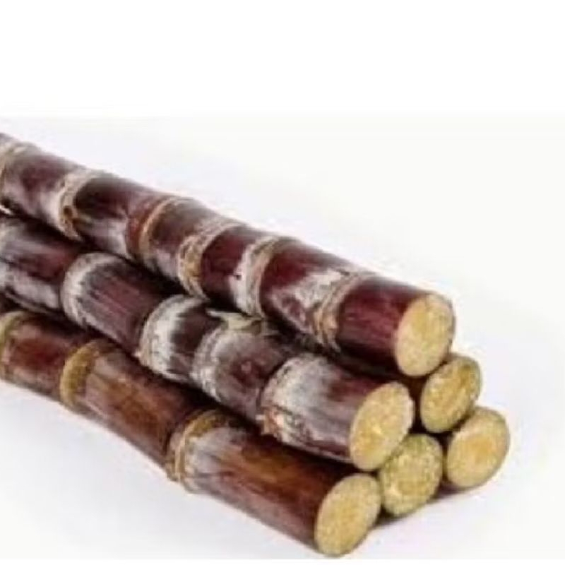 

Tebu merah manis segar 1 kg