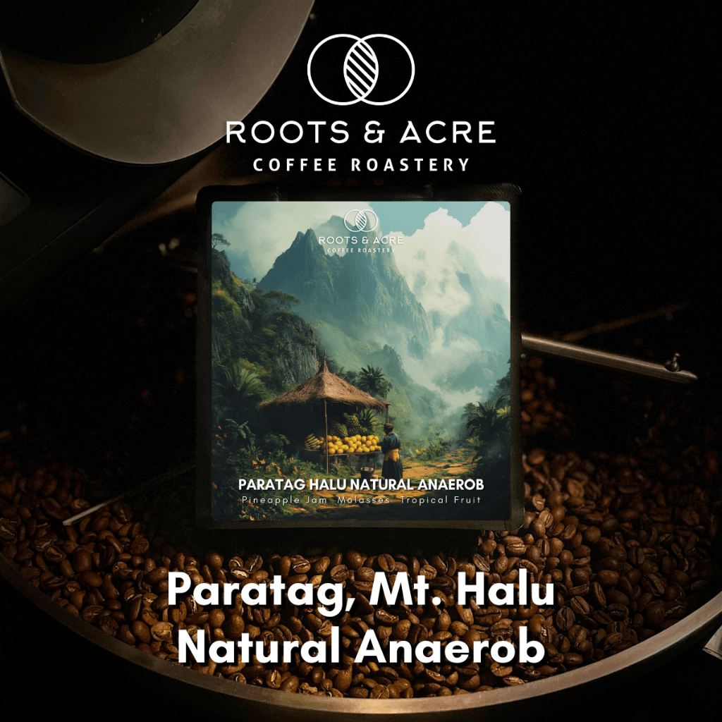 

Paratag - Gn. Halu Natural Anaerob - Biji Kopi Arabika - Roots & Acre