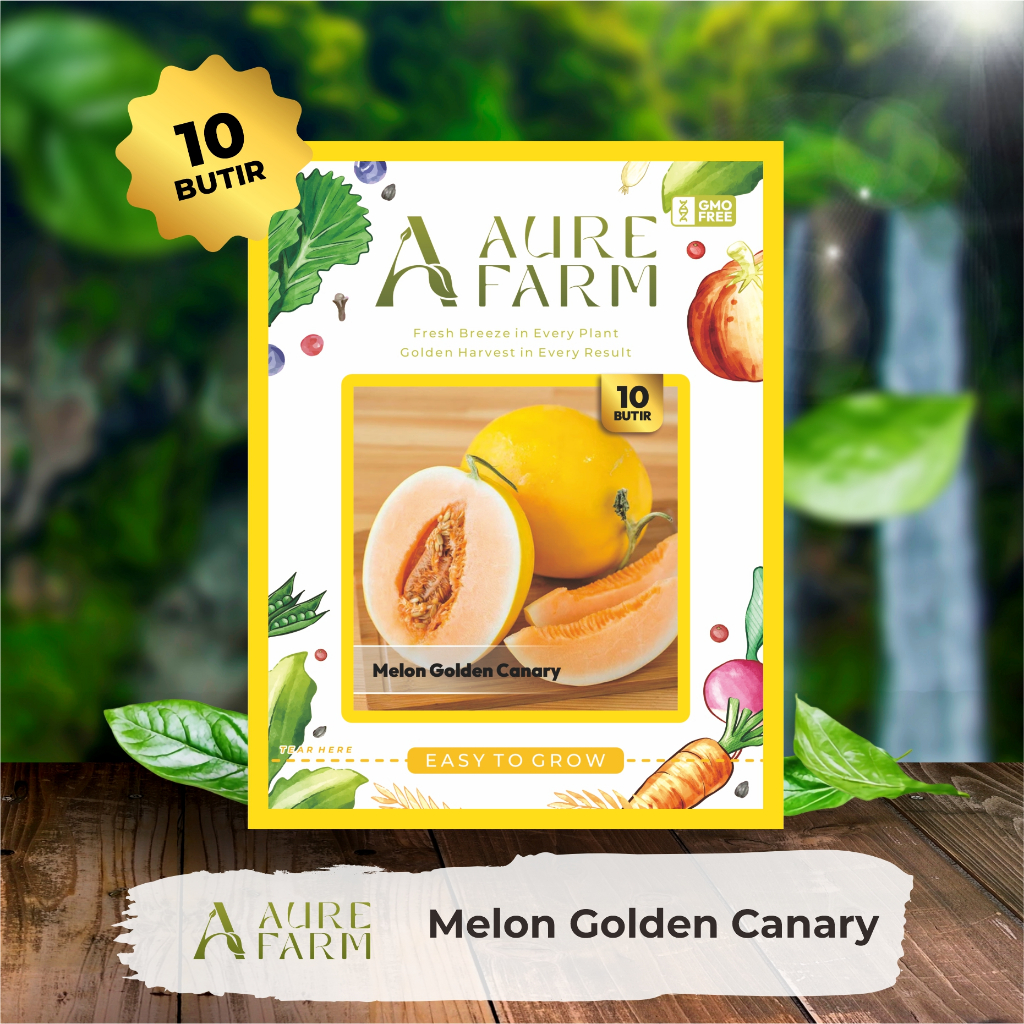 Aure Farm - Benih Bibit Buah Melon Golden Canary / Melon Kuning