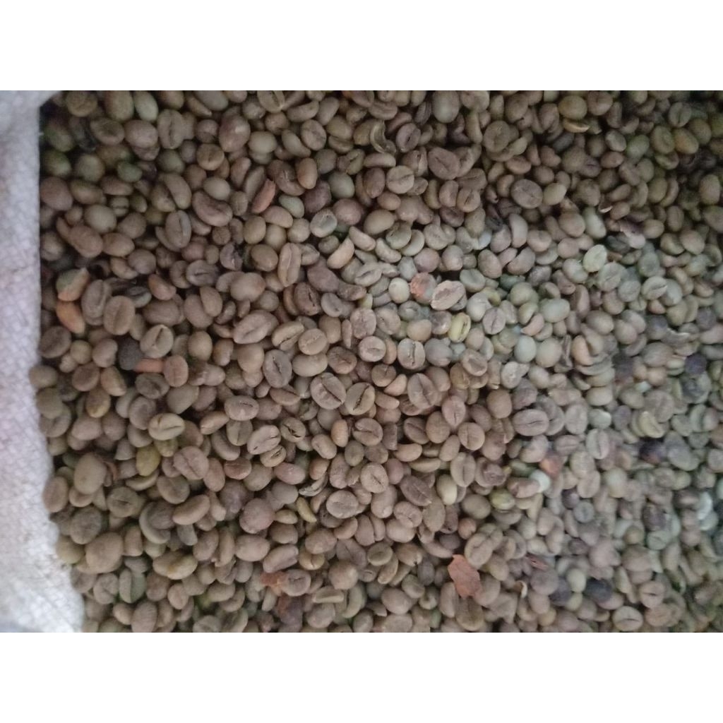 

Biji Kopi Robusta Lampung 1 Kg