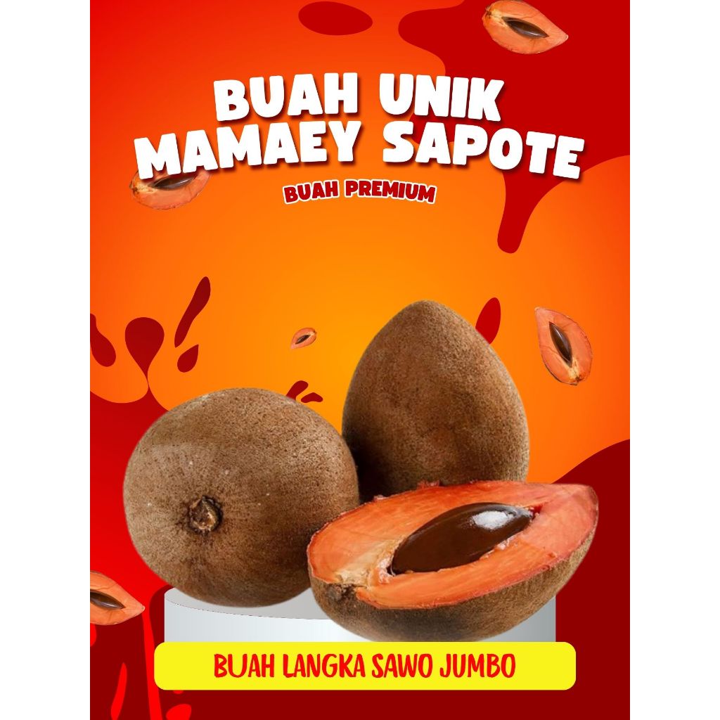 

TERMANIS !! Mamey Sapote Super Red, Mamey Sapote Sawo