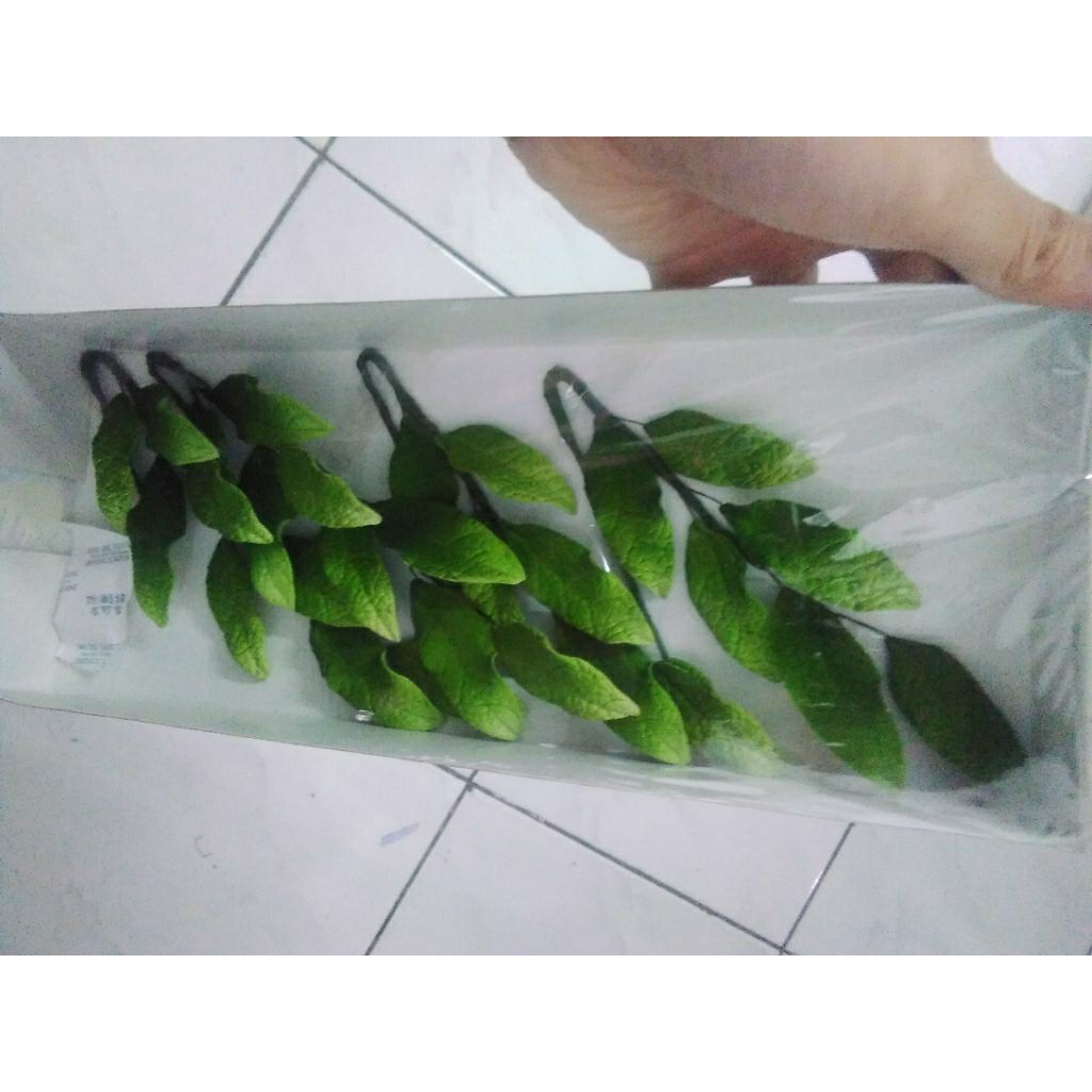 

Gumpaste Flower For cake Decoration Leaf PCHB SET @2