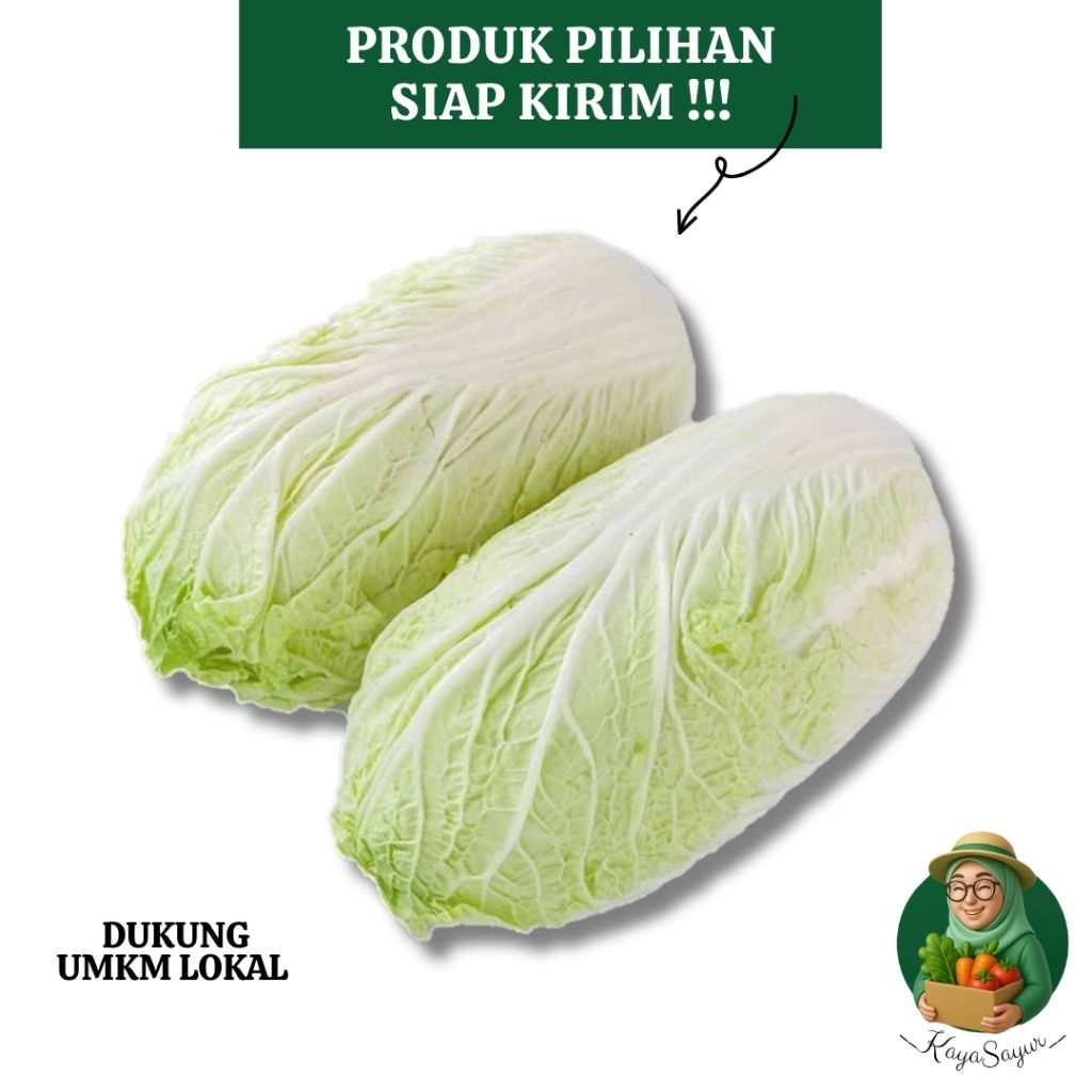 

Sawi Putih Fresh khusus Bandung