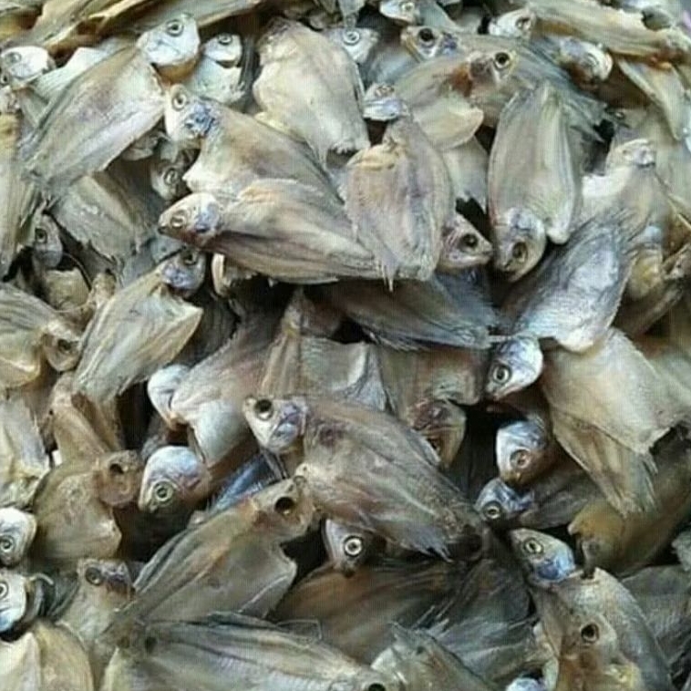 

Ikan Asin Sepat Kecil Kering Asli Gurih Renyah | 100gr - 1Kg | Tanpa Pengawet | Packing Aman dan Rapi