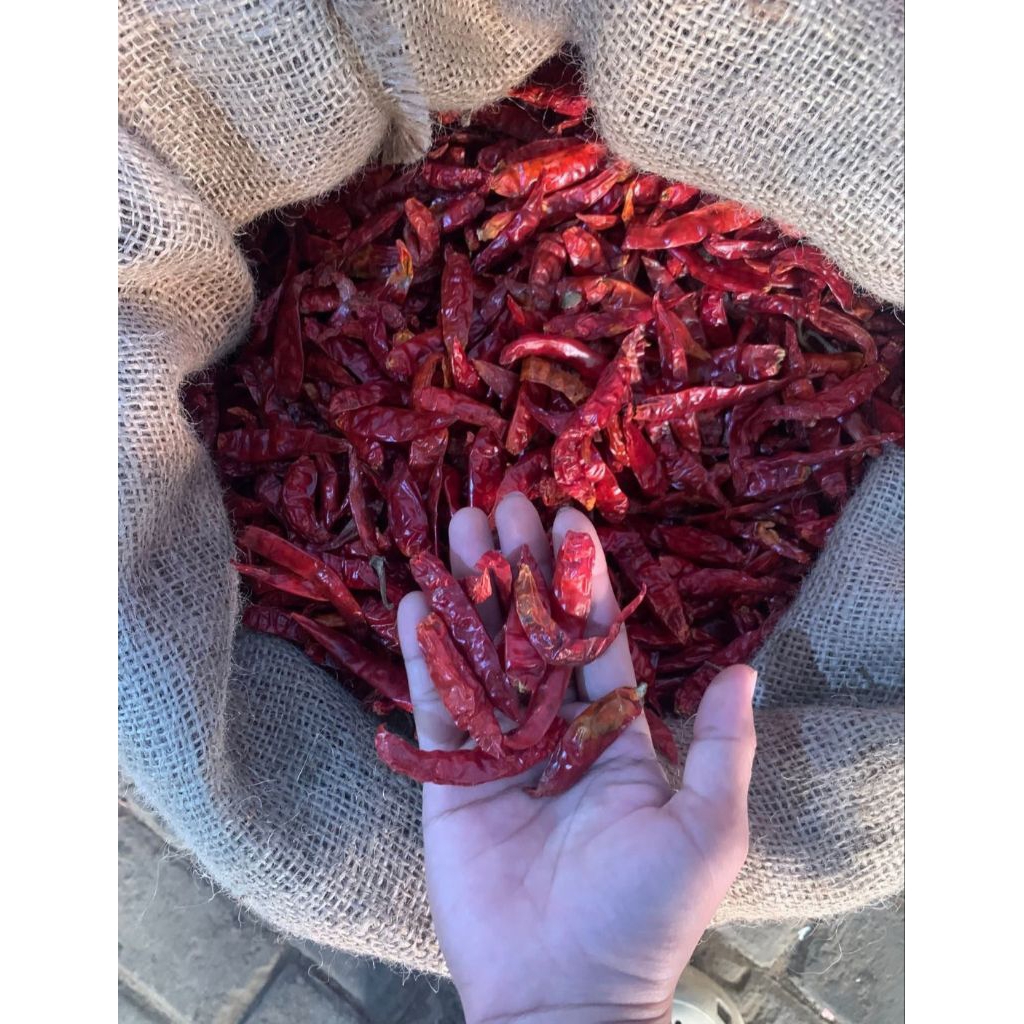 

CABE KERING MERAH/ CABE TEJA EXTRA PEDAS TANPA TANGKAI
