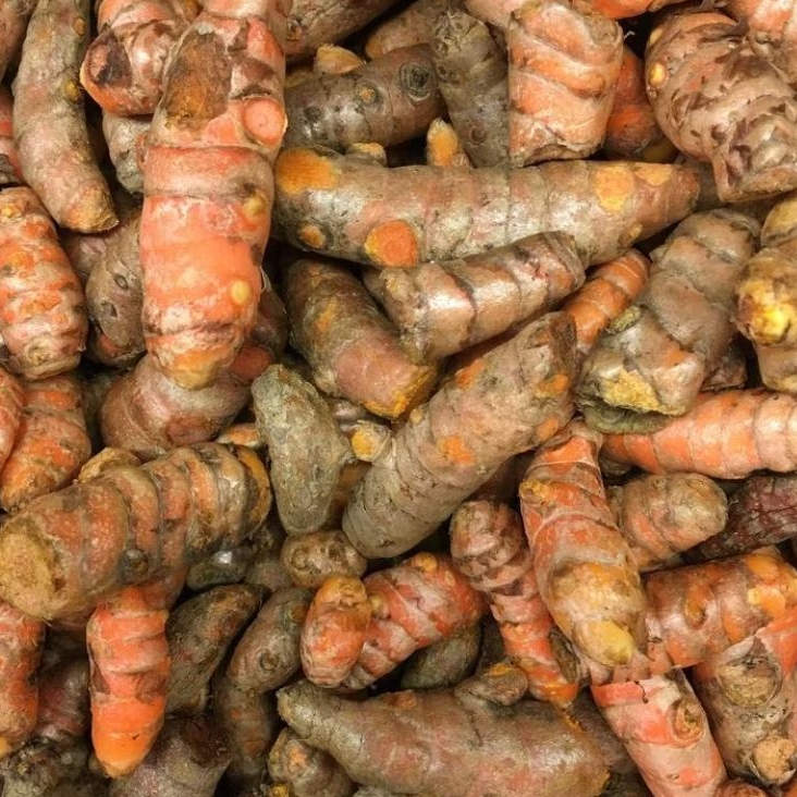 

Kunyit / Kunir 100 gr