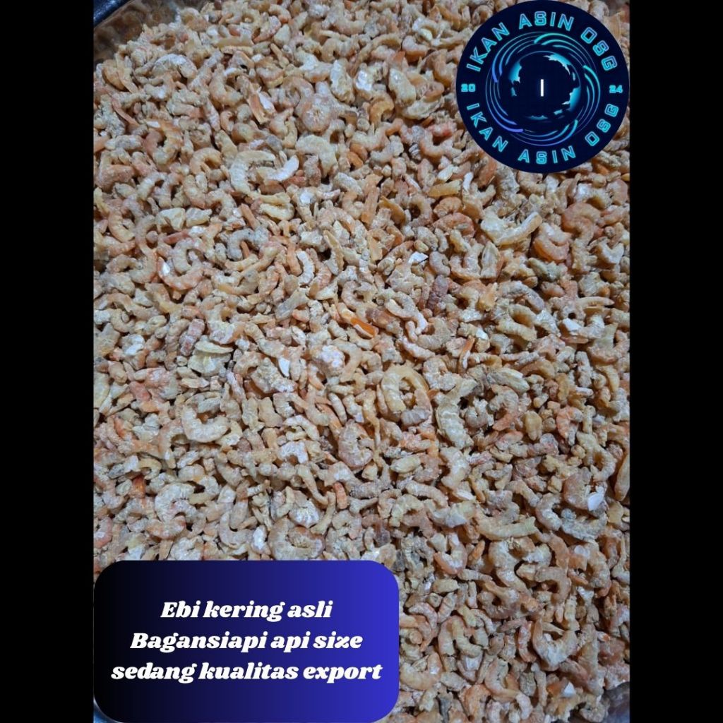 

Ikan Asin Ebi Kering Asli Bagansiapi Api Size Sedang Kualitas Export