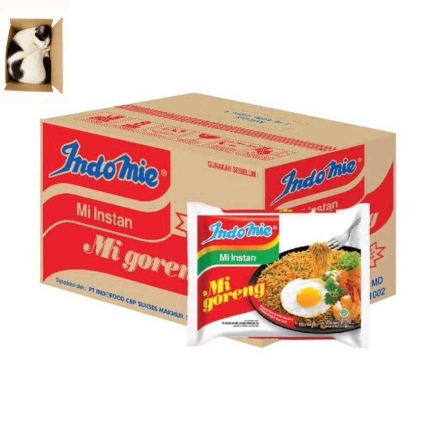 

Indomie Goreng dan 1 dus (40 pcs)