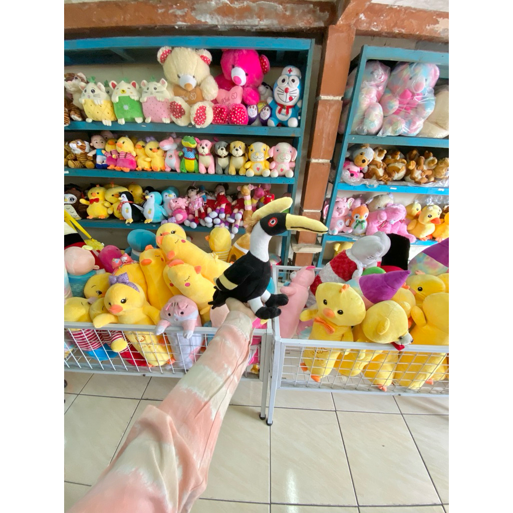 boluon- boneka burung hantu owl cowok kasturi harry potter kakak tua pegar ruak ruak parrot merah