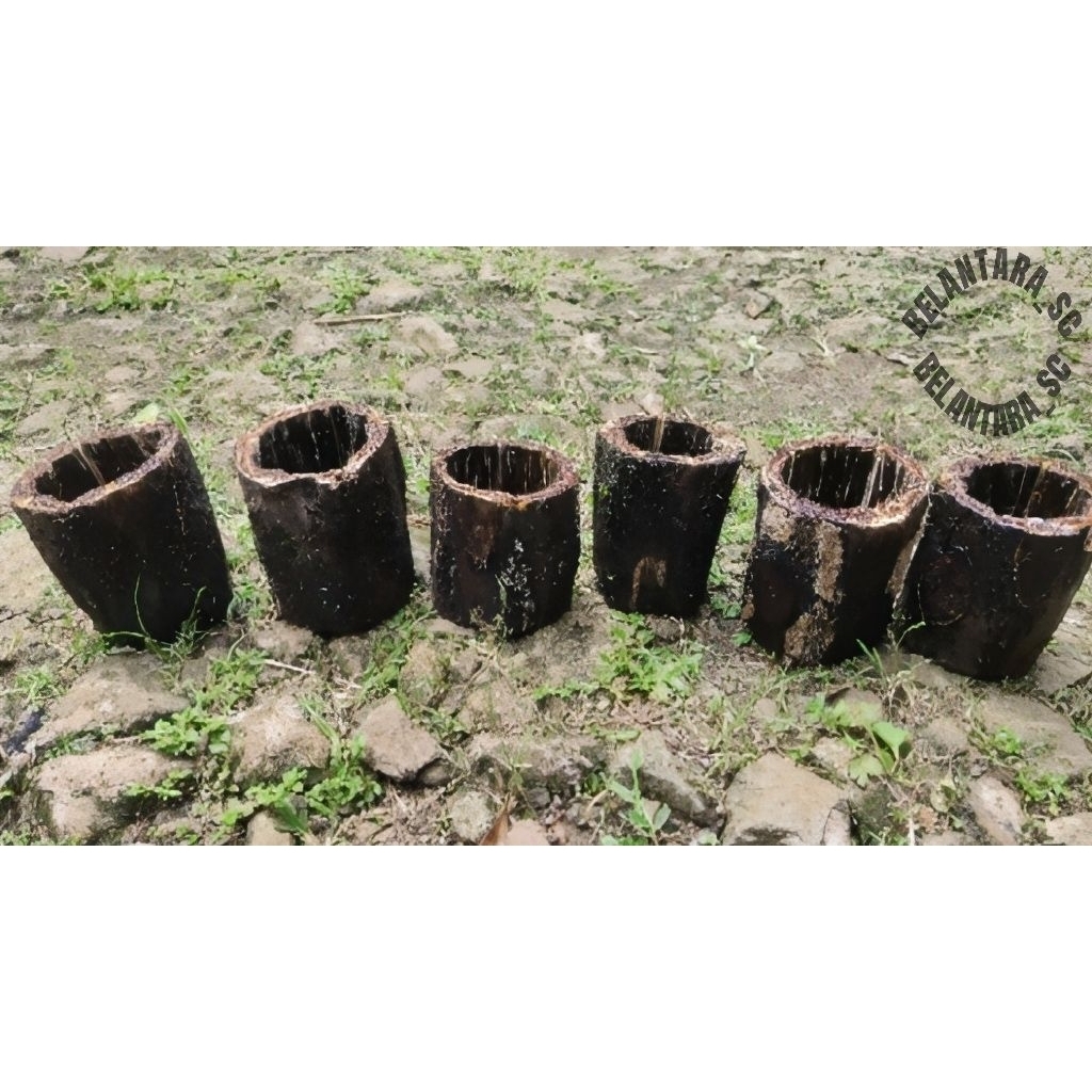 MurahPot Batang Pakis /Media Tanam