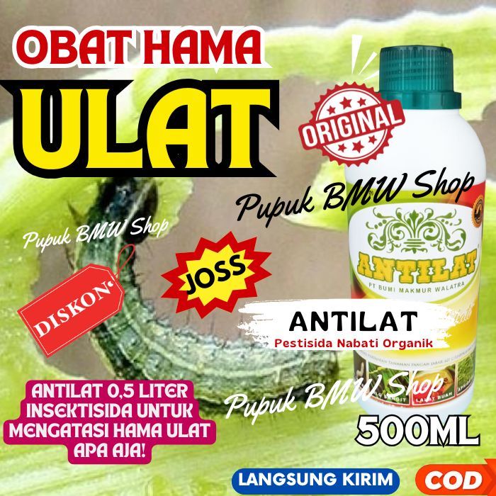 Antilat 500ml Pembasmi Hama Tanaman Cabe Ampuh Basmi Ulat Kutu Daun Wereng